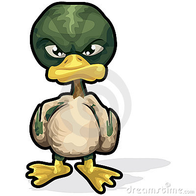 angry-duck-clipping-path-620949.jpg